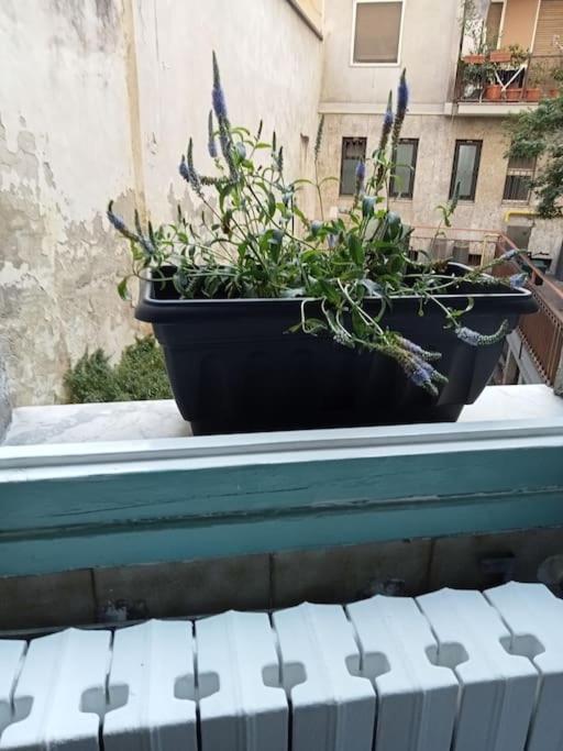 Il Grande Blu Apartamento Milão Exterior foto
