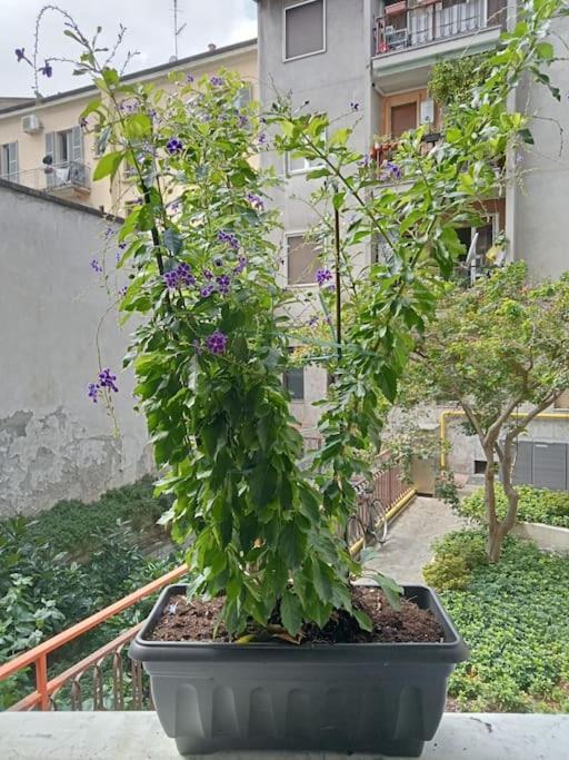 Il Grande Blu Apartamento Milão Exterior foto